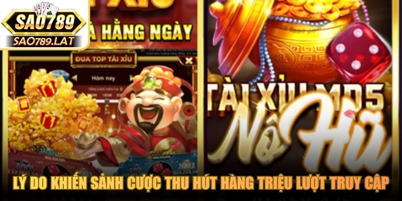 Lý do khiến sảnh cược thu hút hàng triệu lượt truy cập